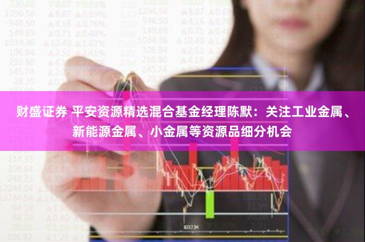 财盛证券 平安资源精选混合基金经理陈默：关注工业金属、新能源金属、小金属等资源品细分机会